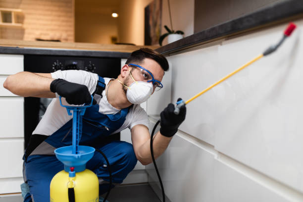 Best Termite Control Services  in Bloomsburg, PA