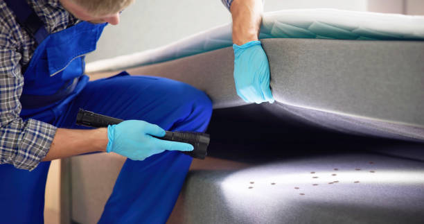 Best Wasp Removal Services  in Bloomsburg, PA