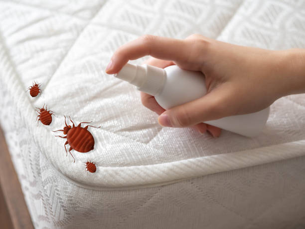 Best Pest Removal Services  in Bloomsburg, PA