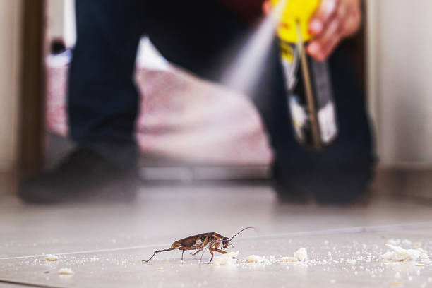 Best Termite Control Services  in Bloomsburg, PA