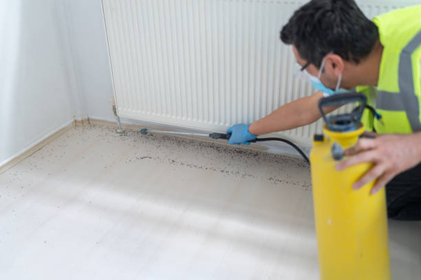 Pest Control for Restaurants in Bloomsburg, PA