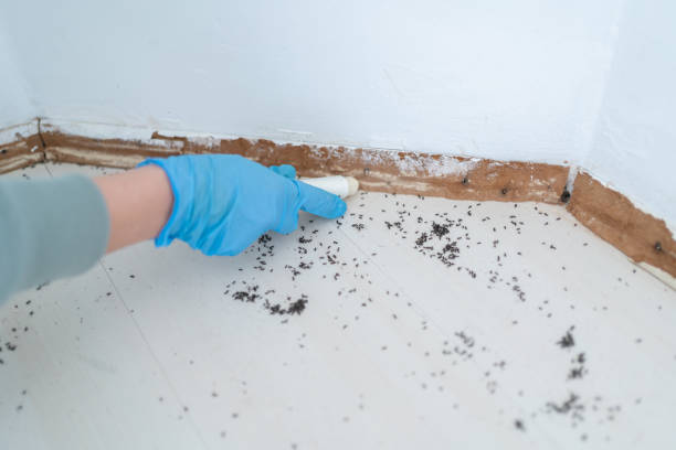 Best Pest Prevention Services  in Bloomsburg, PA