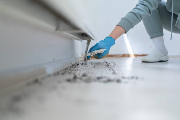 Professional Pest Control in Bloomsburg, PA