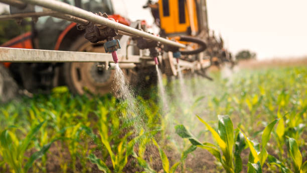 Best Best Pest Control Companies  in Bloomsburg, PA